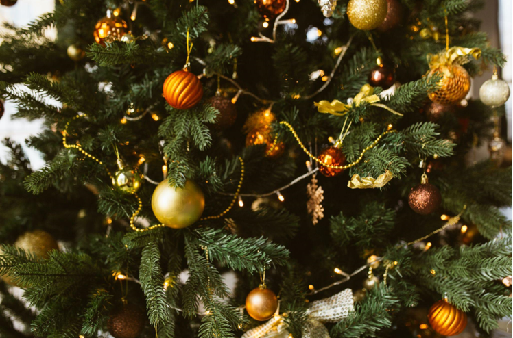The Kindness of Artificial Christmas Trees: An Educated Choice for a Sustainable Future