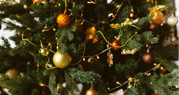The Kindness of Artificial Christmas Trees: An Educated Choice for a Sustainable Future