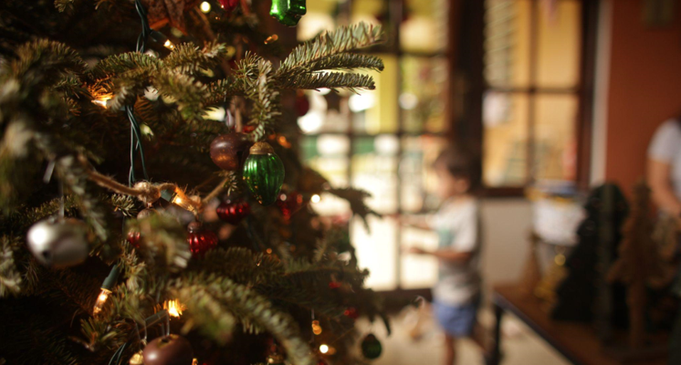 The Perfect Christmas Tree for Sale with Faux Fur Skirt