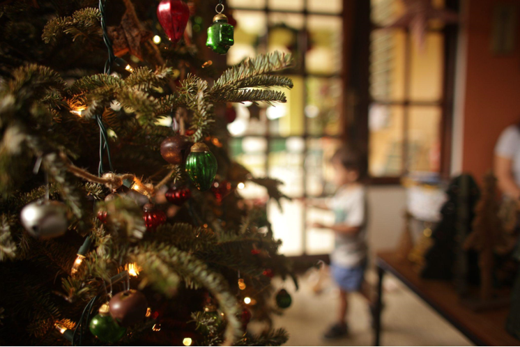 The Perfect Christmas Tree for Sale with Faux Fur Skirt