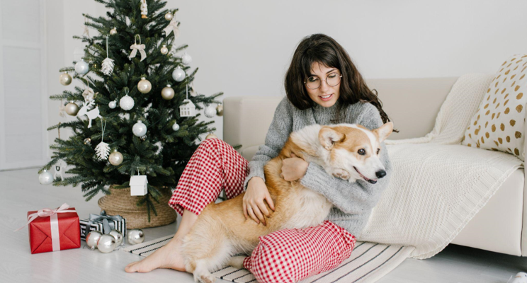 The Allure of Flocked Christmas Trees